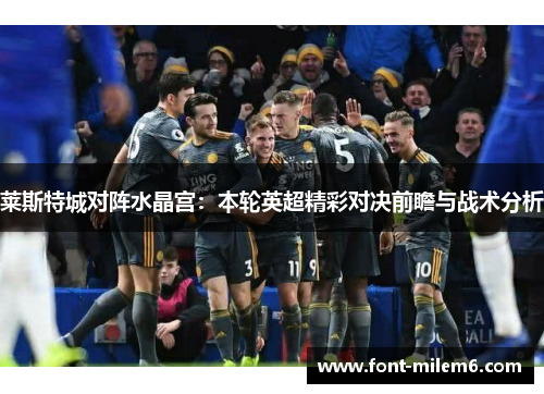 莱斯特城对阵水晶宫：本轮英超精彩对决前瞻与战术分析
