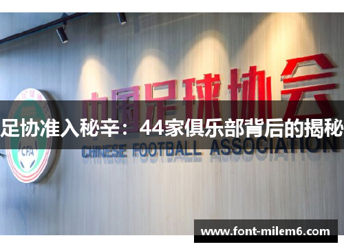 足协准入秘辛：44家俱乐部背后的揭秘