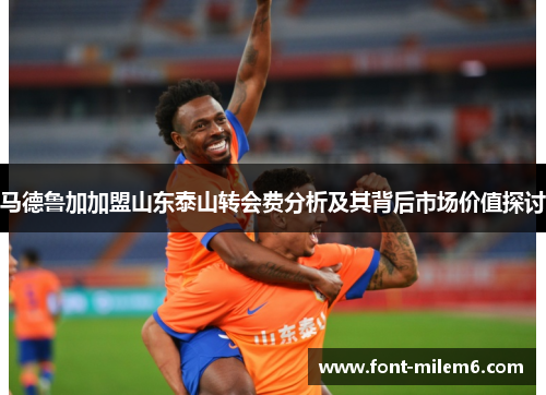 马德鲁加加盟山东泰山转会费分析及其背后市场价值探讨